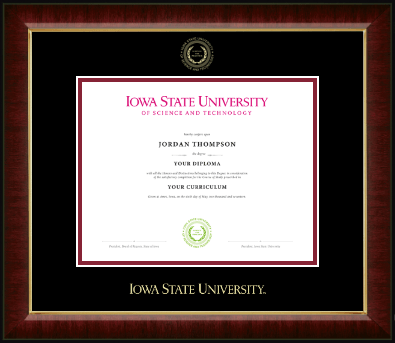 Iowa State University diploma frame - Gold Embossed Diploma Frame in Murano