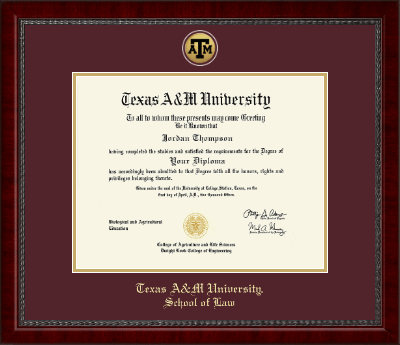 Texas A&M University diploma frame - Gold Engraved Medallion Diploma Frame in Sutton