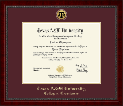 Texas A&M University diploma frame - Gold Engraved Medallion Diploma Frame in Sutton