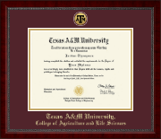 Texas A&M University diploma frame - Gold Engraved Medallion Diploma Frame in Sutton