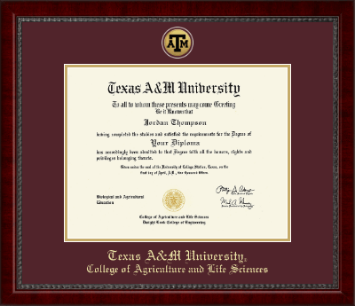 Texas A&M University diploma frame - Gold Engraved Medallion Diploma Frame in Sutton
