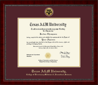 Texas A&M University diploma frame - Gold Engraved Medallion Diploma Frame in Sutton