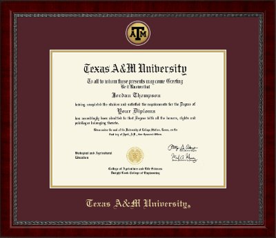 Texas A&M University diploma frame - Gold Engraved Medallion Diploma Frame in Sutton