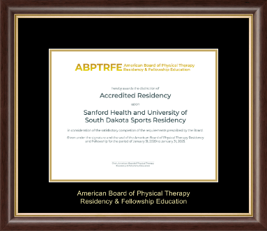 American Board of Physical Therapy Residency & Fellowship Education certificate frame - Gold Embossed Certificate Frame in Hampshire