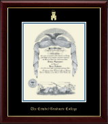The Citadel The Military College of South Carolina diploma frame - Gold Embossed Diploma Frame in Gallery