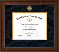 Edward Via College of Osteopathic Medicine diploma frame - Presidential Gold Engraved Diploma Frame in Madison