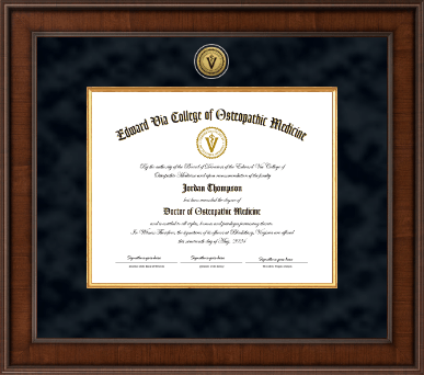 Edward Via College of Osteopathic Medicine diploma frame - Presidential Gold Engraved Diploma Frame in Madison