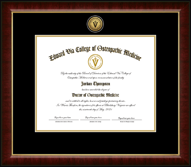 Edward Via College of Osteopathic Medicine diploma frame - Gold Engraved Medallion Diploma Frame in Murano