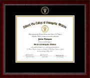 Edward Via College of Osteopathic Medicine diploma frame - Gold Embossed Diploma Frame in Sutton