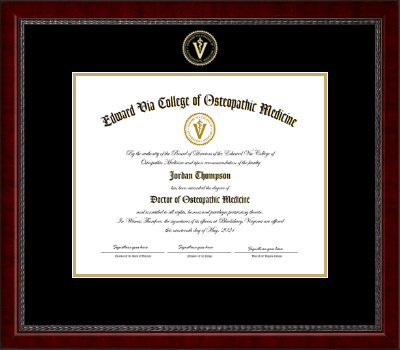 Edward Via College of Osteopathic Medicine diploma frame - Gold Embossed Diploma Frame in Sutton