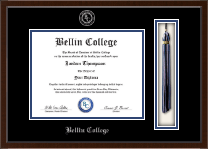 Bellin College diploma frame - Tassel & Cord Diploma Frame in Delta