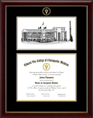 Edward Via College of Osteopathic Medicine diploma frame - VCOM Carolinas Campus Scene Diploma Frame in Gallery