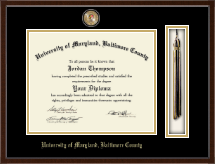 University of Maryland, Baltimore County diploma frame - Tassel & Cord Masterpiece Diploma Frame in Delta