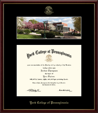 York College of Pennsylvania diploma frame - Campus Scene Diploma Frame in Galleria