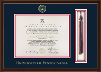University of Pennsylvania diploma frame - Tassel & Cord Certificate Frame in Delta