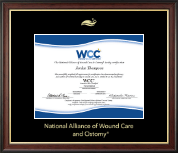 National Alliance of Wound Care and Ostomy certificate frame - Gold Embossed Certificate Frame in Studio Gold