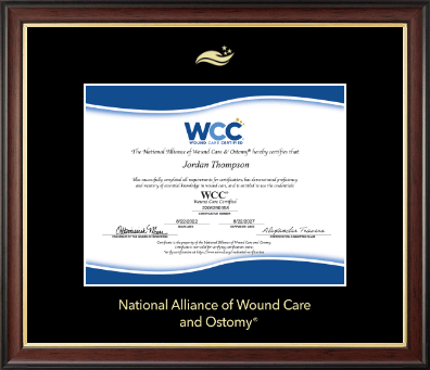 National Alliance of Wound Care and Ostomy certificate frame - Gold Embossed Certificate Frame in Studio Gold