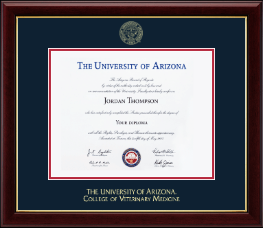 The University of Arizona diploma frame - Gold Embossed Diploma Frame in Gallery