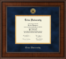 Trine University diploma frame - Presidential Gold Engraved Diploma Frame in Madison