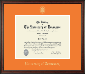 The University of Tennessee Knoxville diploma frame - Gold Embossed Diploma Frame in Studio
