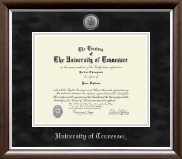 The University of Tennessee Knoxville diploma frame - Silver Engraved Medallion Diploma Frame in Devonshire