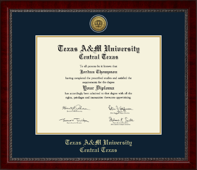 Texas A&M University Central Texas diploma frame - Gold Engraved Medallion Diploma Frame in Sutton