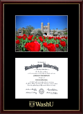 Washington University in St. Louis diploma frame - Campus Scene Diploma Frame in Galleria