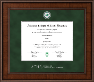 Arkansas Colleges of Health Education diploma frame - Occupational Therapy- Presidential Diploma Frame in Madison