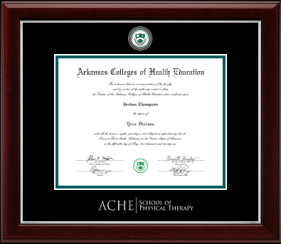 Arkansas Colleges of Health Education diploma frame - Physical Therapy- Masterpiece Diploma Frame in Gallery Silver