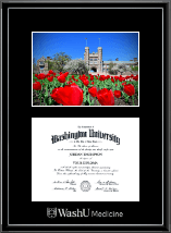 Washington University in St. Louis diploma frame - Campus Scene Diploma Frame in Onexa Silver