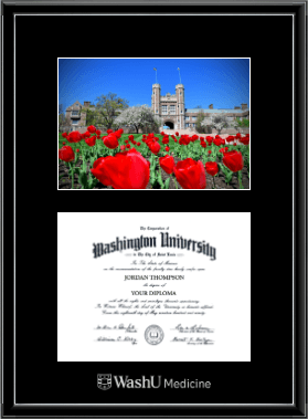 Washington University in St. Louis diploma frame - Campus Scene Diploma Frame in Onexa Silver
