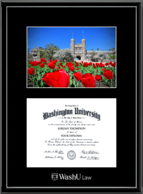 Washington University in St. Louis diploma frame - Campus Scene Diploma Frame in Onexa Silver