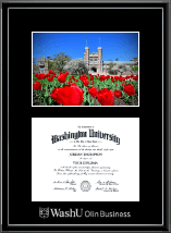 Washington University in St. Louis diploma frame - Campus Scene Diploma Frame in Onexa Silver