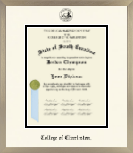 College of Charleston diploma frame - Icon in Light Champagne