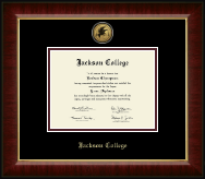 Jackson College diploma frame - Gold Engraved Medallion Diploma Frame in Murano