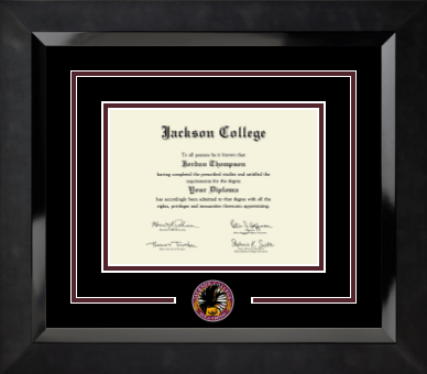 Jackson College diploma frame - Dimensions Spirit Diploma Frame in Eclipse