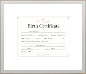 Specialty Frames certificate frame - Birth Certificate Frame in Snow
