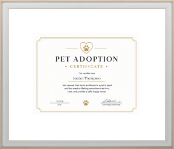 Specialty Frames certificate frame - Pet Adoption Certificate Frame in Snow