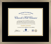 Speciality Frames diploma frame - Custom Certificate Frame in Light Champagne