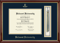 Belmont University diploma frame - Tassel & Cord Diploma Frame in Southport Gold