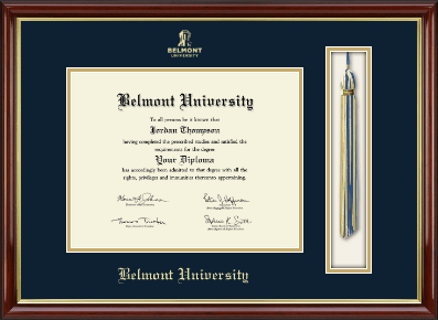 Belmont University diploma frame - Tassel & Cord Diploma Frame in Southport Gold