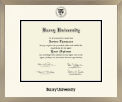 Barry University diploma frame - Icon in Light Champagne