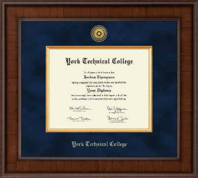 York Tech diploma frame - Presidential Gold Engraved Diploma Frame in Madison