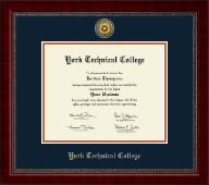 York Tech diploma frame - Gold Engraved Medallion Diploma Frame in Sutton
