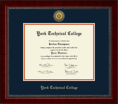 York Tech diploma frame - Gold Engraved Medallion Diploma Frame in Sutton