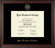 York Tech diploma frame - Gold Embossed Diploma Frame in Studio