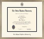 Johns Hopkins University diploma frame - Icon in Light Champagne