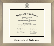 University of Arkansas diploma frame - Icon in Light Champagne