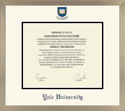 Yale University diploma frame - Icon in Light Champagne