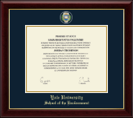 Yale University diploma frame - Masterpiece Medallion Diploma Frame in Gallery